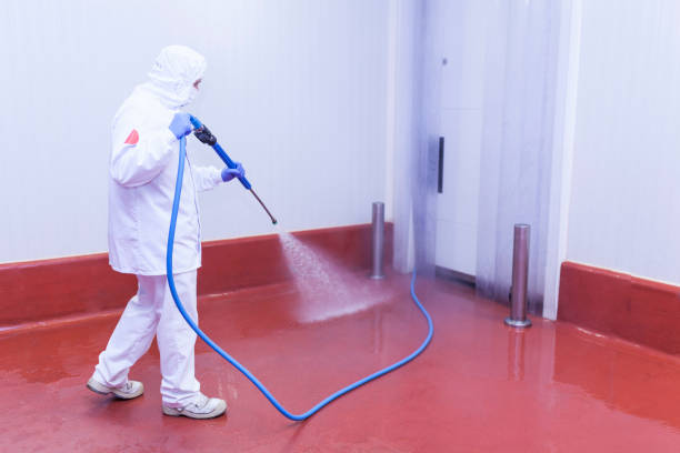 Boat and Dock Cleaning in Highland Lakes, AL
